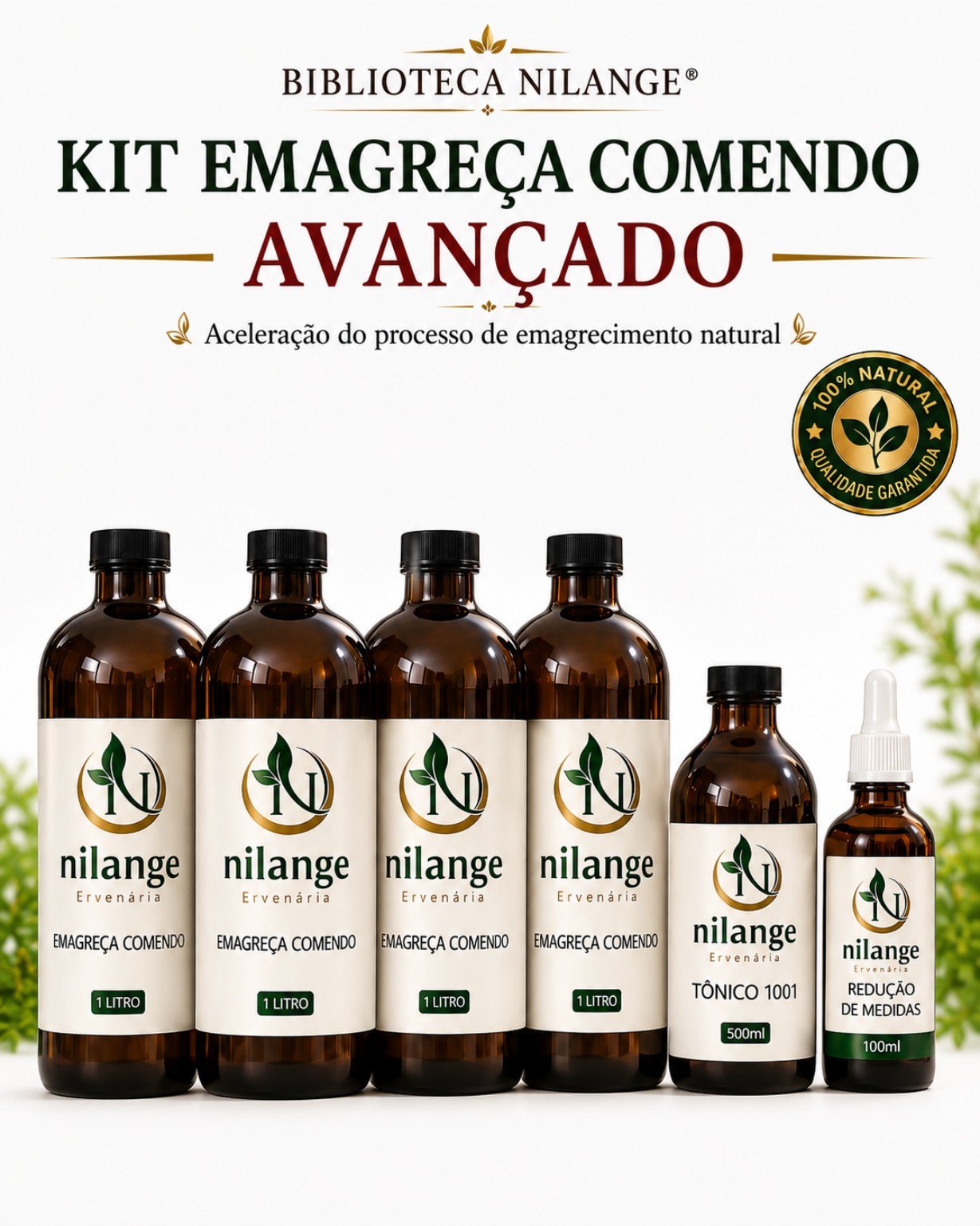 Kit Emagreça Comendo Avançado