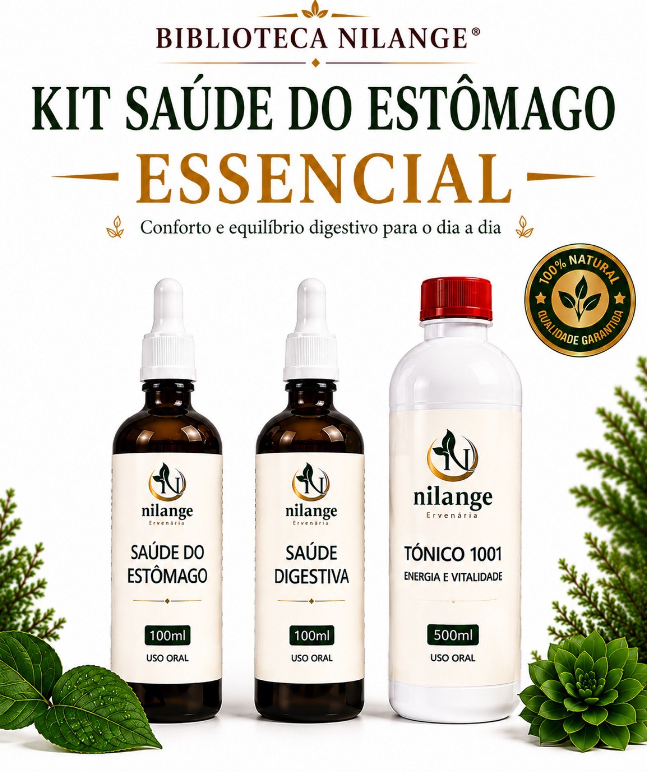 Kit Saúde do Estômago Essencial