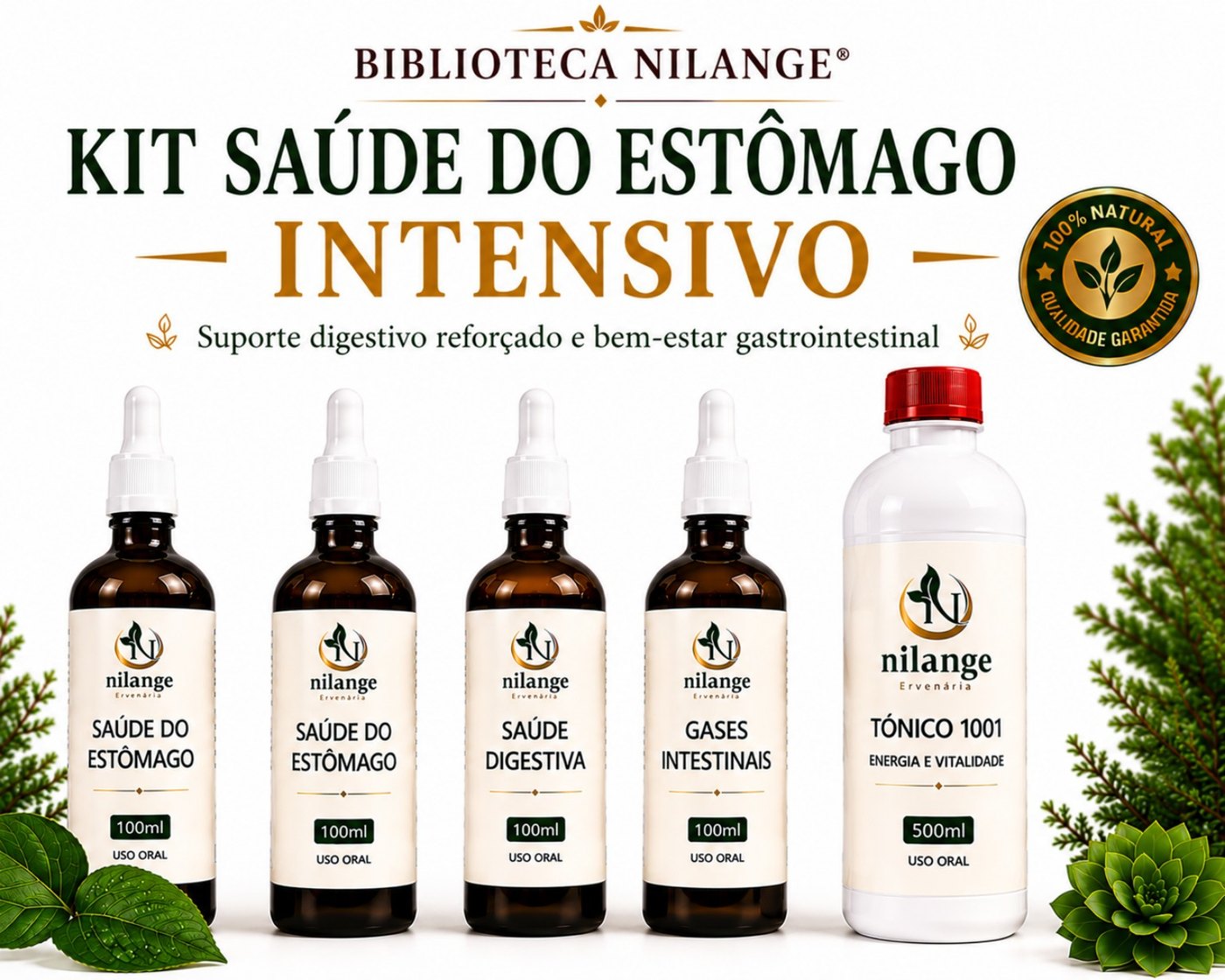 Kit Saúde do Estômago Intensivo